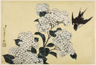 Hortensias et hirondelles - Début de l'ère Tempō (vers 1830-1834) - estampe.  Crédits : THIERRY OLLIVIER/ RMN-GRAND PALAIS/MUSEE GUIMET PARIS