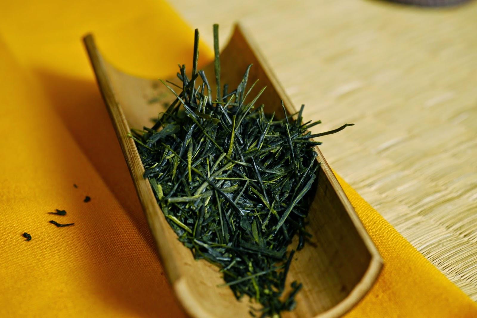 Shizuoka 2014, cultivar Shizu7132 de Tawaramine Shizuoka 2014, cultivar Shizu7132 de Tawaramine