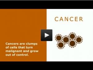 CANCER: Une protéine leurre pour tromper la tumeur – Nature Chemical Biology