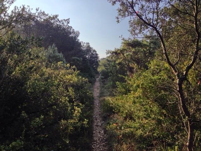 Marche matinale et automnale Marche matinale et automnale