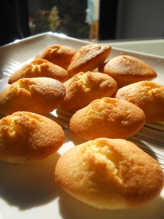 Mini madeleines DSCN4268