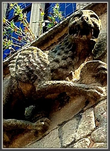 Max | Sourires et grimaces dinan chimère.jpg