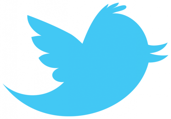 Tu n’es pas aux ET10, pas de Pau ! Mais on a pensé à toi ! 03830640-photo-logo-twitter-bleu-sur-blanc