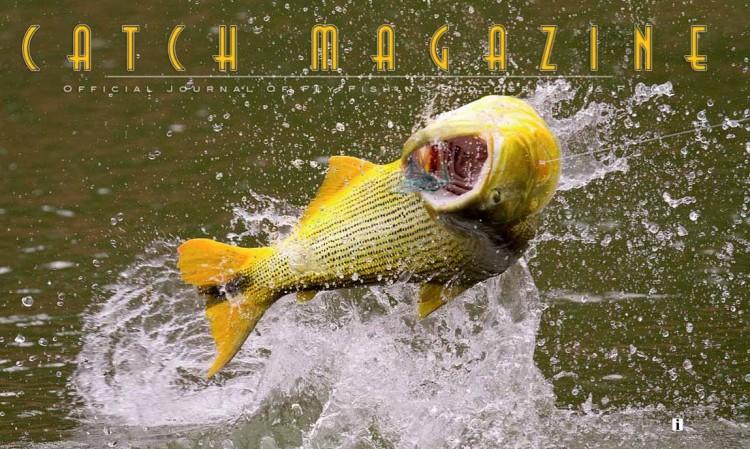 CATCH MAGAZINE #37 CatchMagazine#37