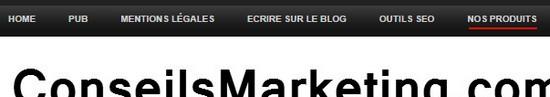 Le Mini Guide pour obtenir plus de prospects avec un Blog – Partie 6 lien publicitaire