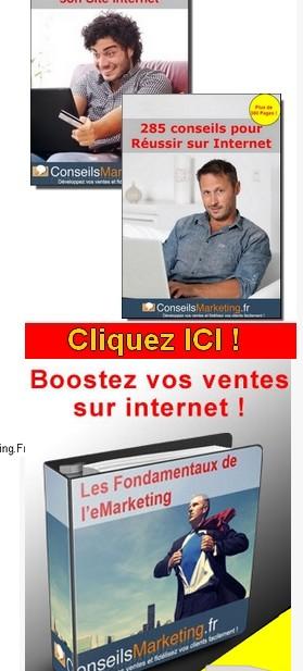 Le Mini Guide pour obtenir plus de prospects avec un Blog – Partie 6 produits conseilsmaketing