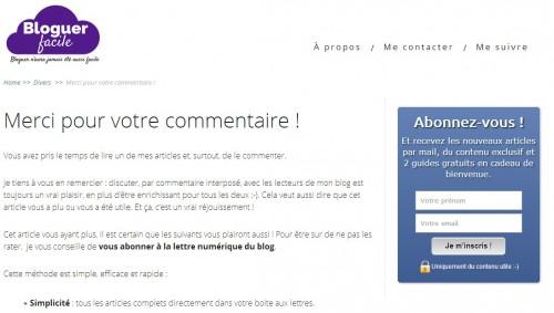 Le Mini Guide pour obtenir plus de prospects avec un Blog – Partie 6 commentaire newsletter