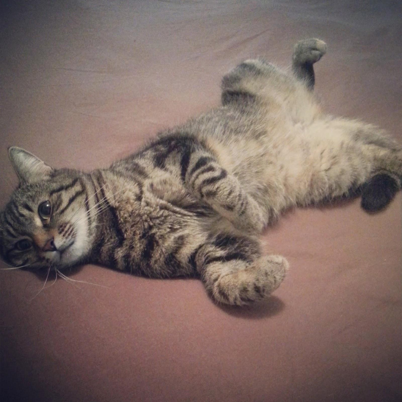 Insta'Septembre #2 Insta'Septembre #2