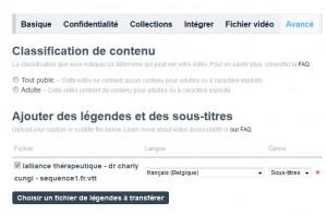 Activer les sous-titres. VIMEO - ajouter des sous-titres.