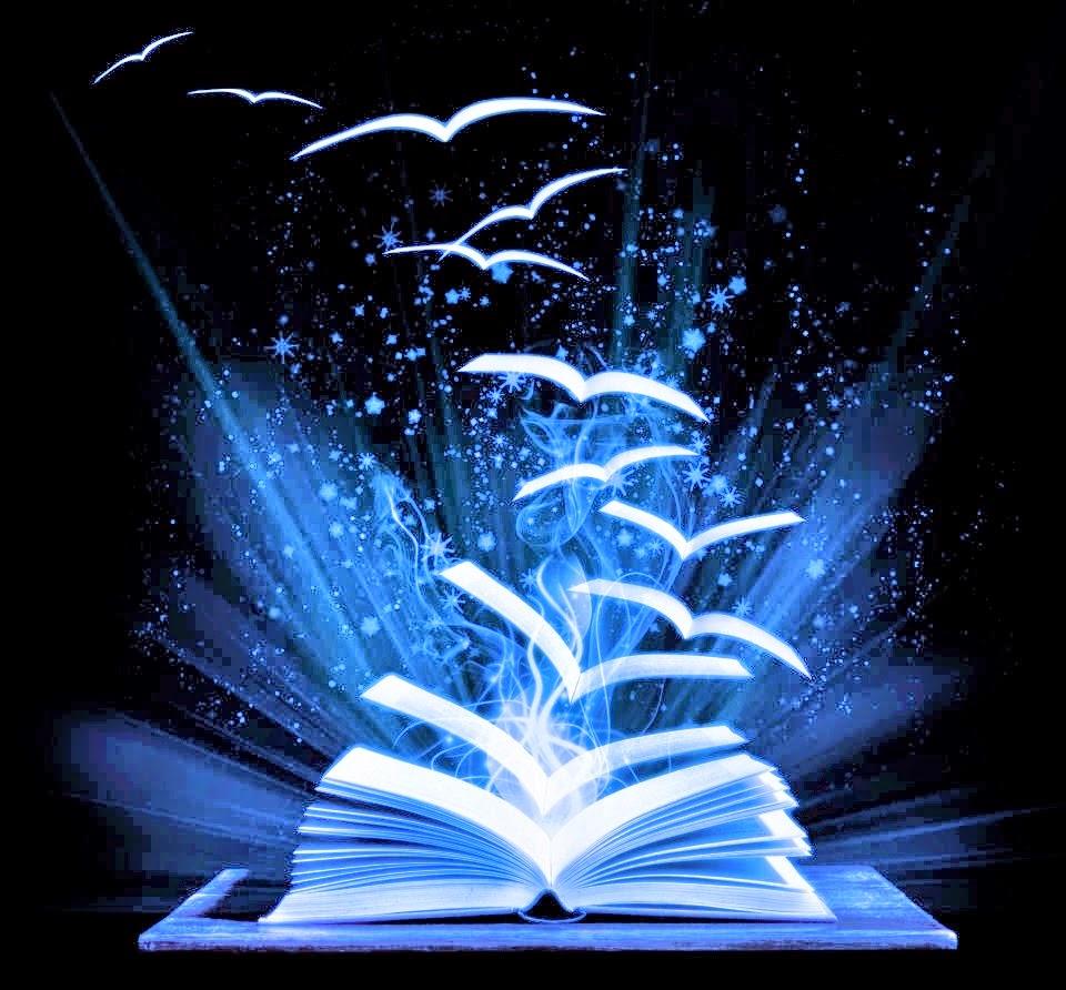 libros voladores libros voladores