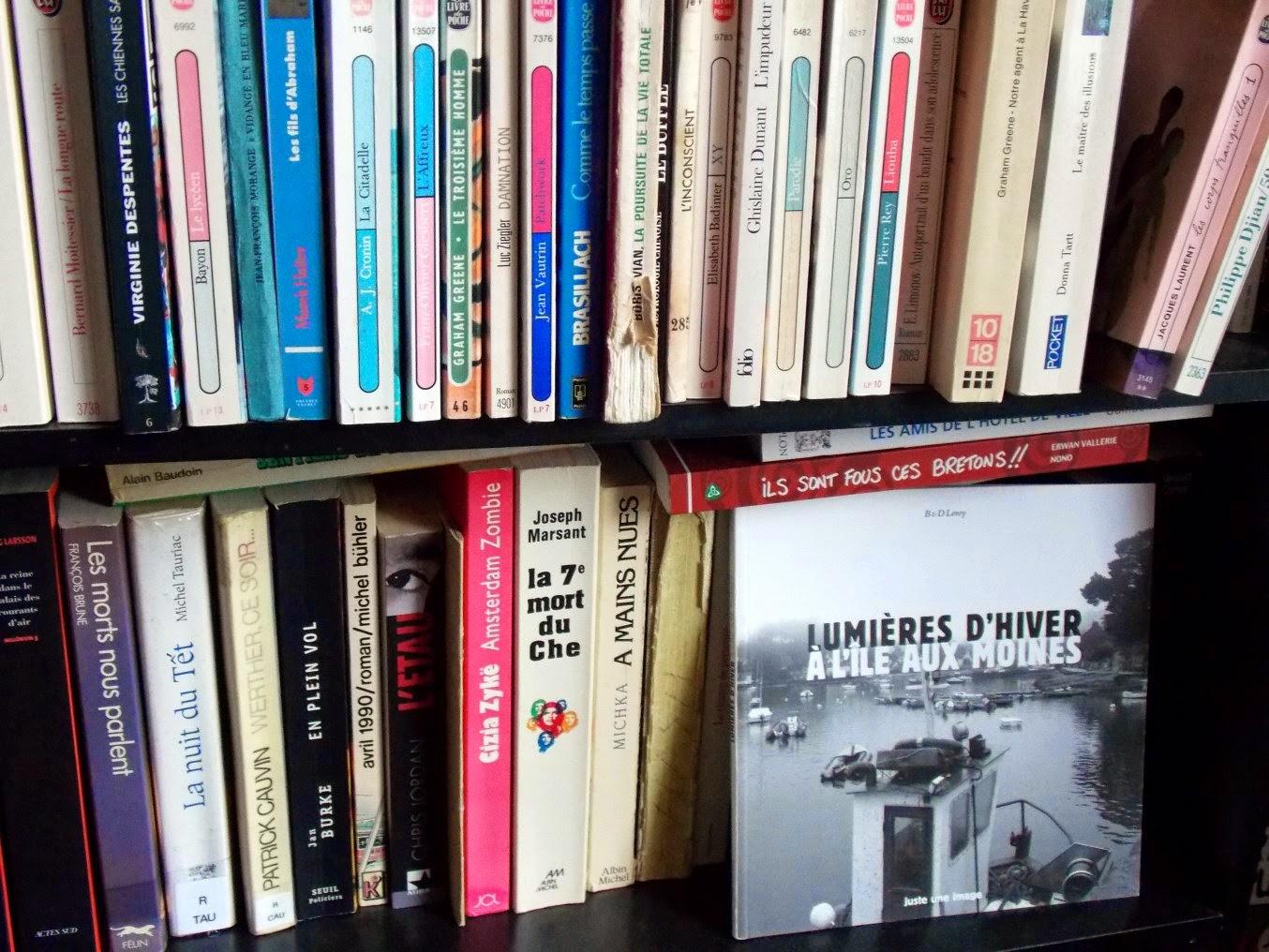 libros voladores libros voladores