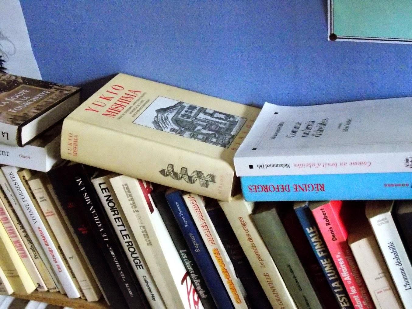 libros voladores libros voladores
