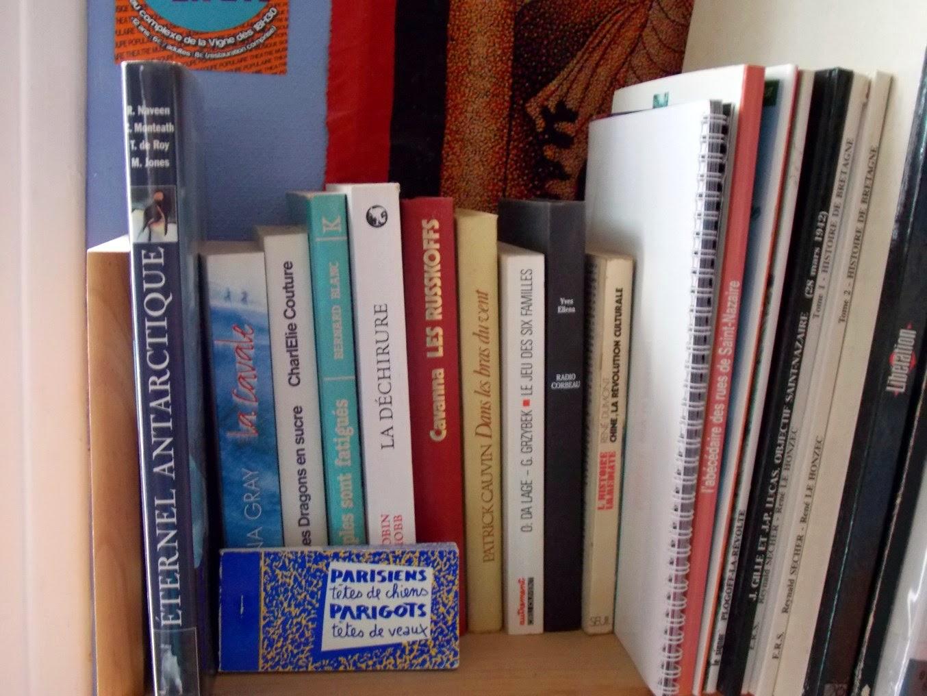 libros voladores libros voladores
