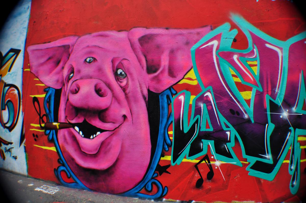 La Valls des Porcs La Valls des Porcs (2)