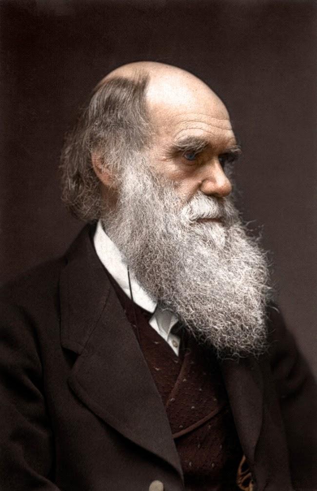 Photographies qui ont fait l'histoire Photographies qui ont fait l'histoire