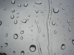 Automne pluvieux Littérature