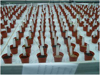 Plantes mars et lune Plantes mars et lune