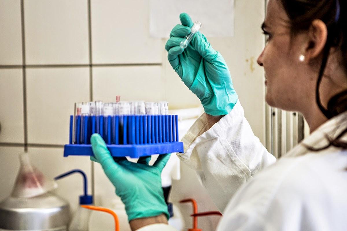 De la plante au médicament De la plante au médicament