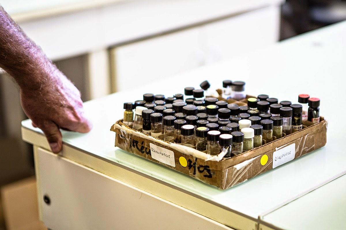 De la plante au médicament De la plante au médicament