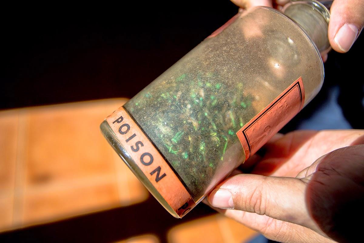 De la plante au médicament De la plante au médicament