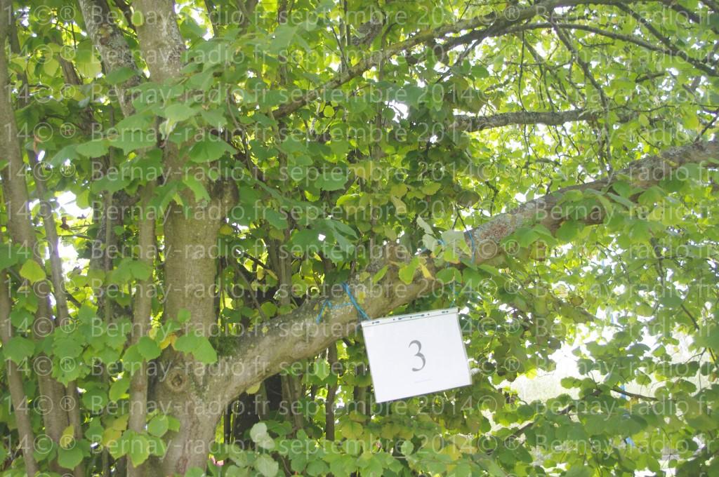 Nouvelle séquence diffusé sur http://bernay-radio.fr/ avec « Evénements à Bernay ». IMGP4326_GF