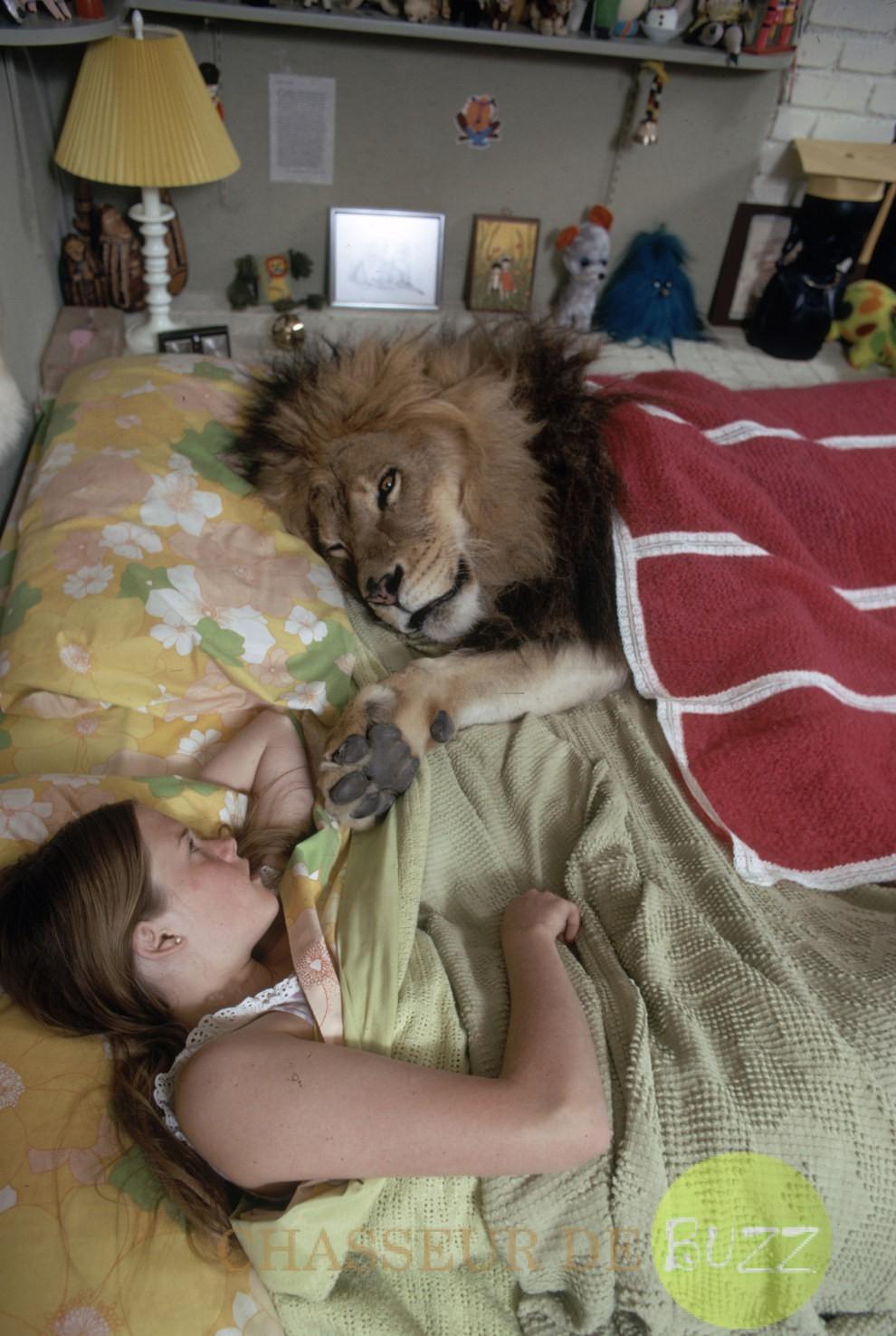 famille_mélanie_griffich_lion_animal_compagnie