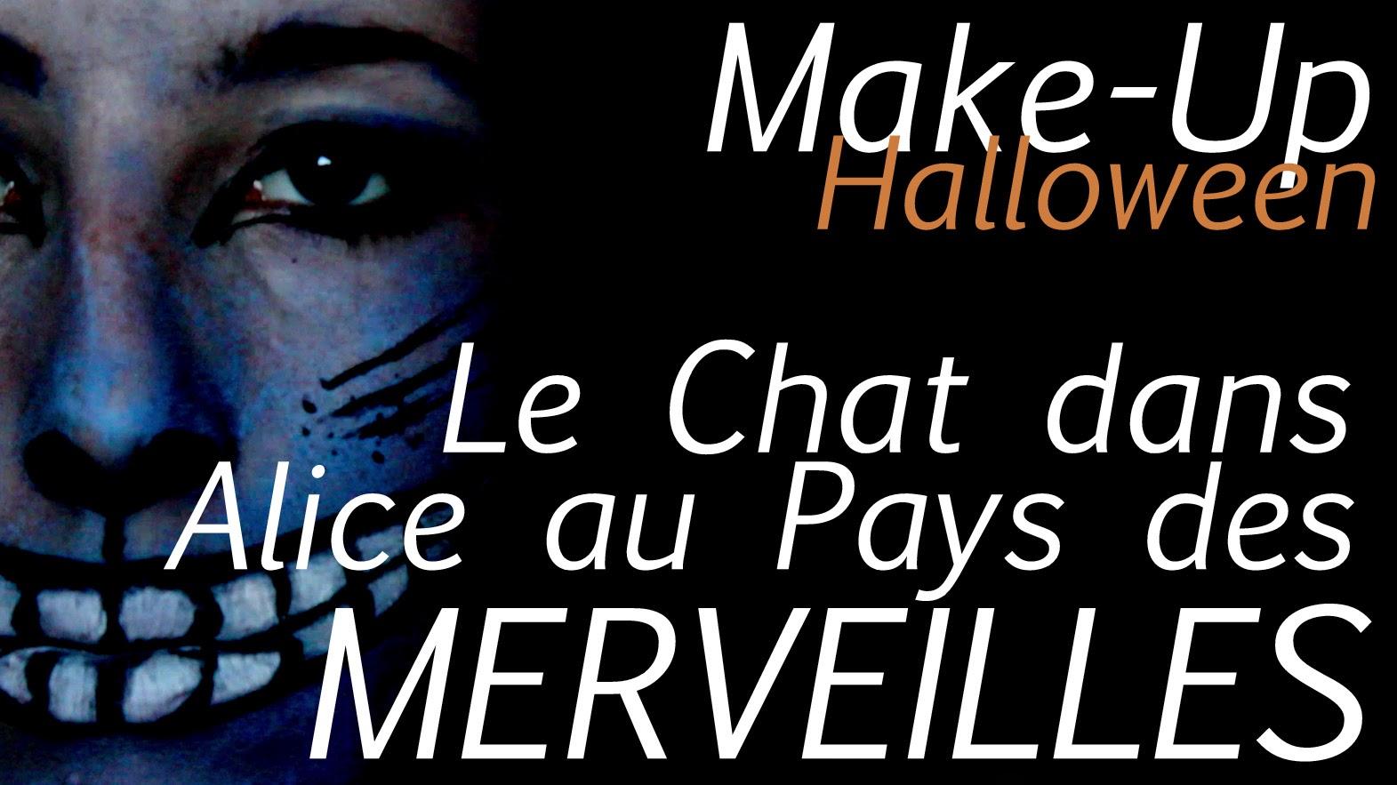 Le chat dans