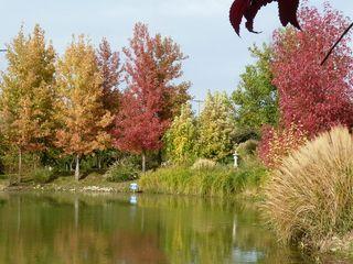 Automne_05 Automne_05