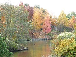 Automne_02 Automne_02