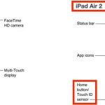 iPad Air 2 & iPad Mini 3 Touch ID