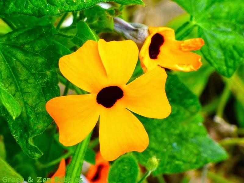 Ambiance rouge... Ambiance rouge...