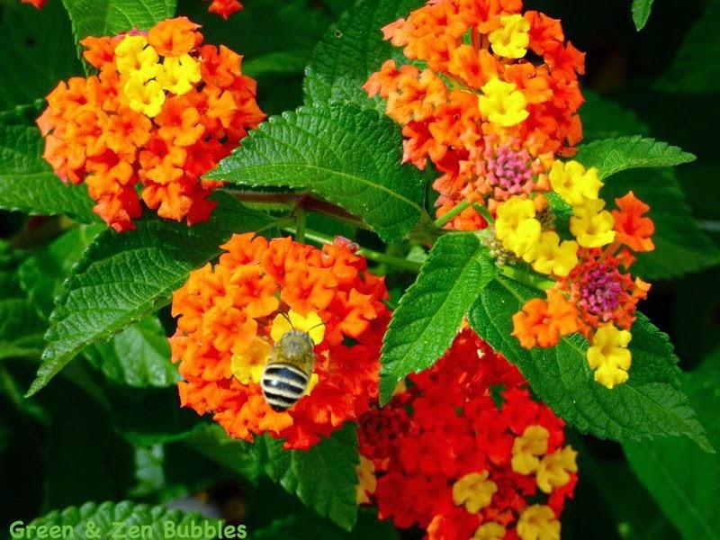 Ambiance rouge... Ambiance rouge...