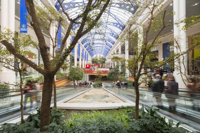 La nouvelle boutique Kusmi à Nantes + concours IMG_0571.JPG