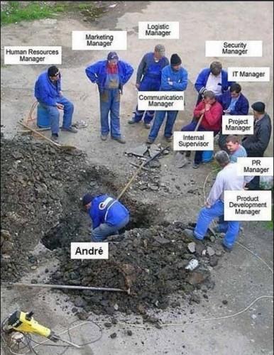 L’importance cruciale de la personnalité dans le rôle de chef de projets funny-pictures-auto-731329