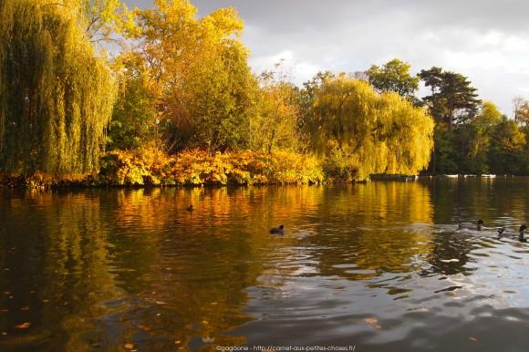 Un après-midi d’octobre au fil de l’eau – Barque au Lac des Minimes, Vincennes (94) barque-vincennes-lac-des-minimes-2_gagaone