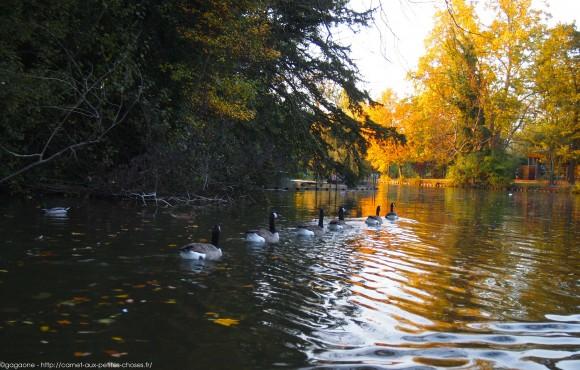 Un après-midi d’octobre au fil de l’eau – Barque au Lac des Minimes, Vincennes (94) barque-vincennes-lac-des-minimes-25_gagaone