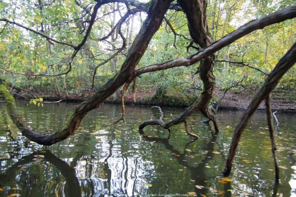 Un après-midi d’octobre au fil de l’eau – Barque au Lac des Minimes, Vincennes (94) barque-vincennes-lac-des-minimes-17_gagaone