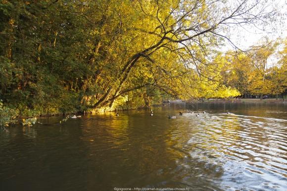 Un après-midi d’octobre au fil de l’eau – Barque au Lac des Minimes, Vincennes (94) barque-vincennes-lac-des-minimes-14_gagaone