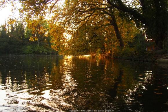 Un après-midi d’octobre au fil de l’eau – Barque au Lac des Minimes, Vincennes (94) barque-vincennes-lac-des-minimes-28_gagaone