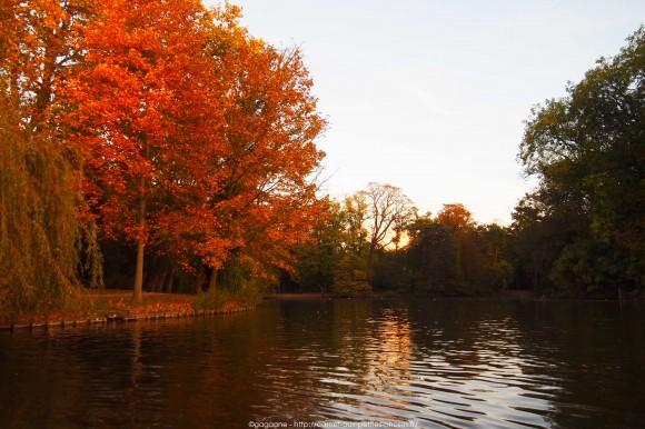 Un après-midi d’octobre au fil de l’eau – Barque au Lac des Minimes, Vincennes (94) barque-vincennes-lac-des-minimes-32_gagaone