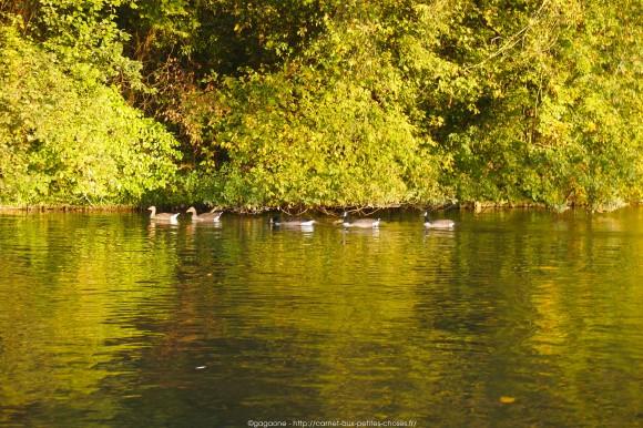 Un après-midi d’octobre au fil de l’eau – Barque au Lac des Minimes, Vincennes (94) barque-vincennes-lac-des-minimes-12_gagaone
