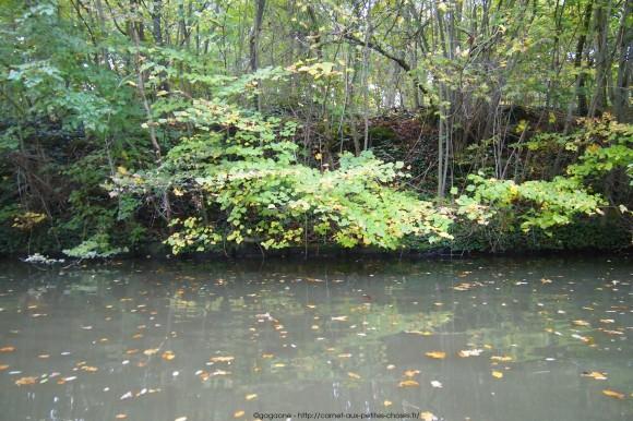 Un après-midi d’octobre au fil de l’eau – Barque au Lac des Minimes, Vincennes (94) barque-vincennes-lac-des-minimes-20_gagaone