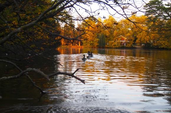 Un après-midi d’octobre au fil de l’eau – Barque au Lac des Minimes, Vincennes (94) barque-vincennes-lac-des-minimes-24_gagaone
