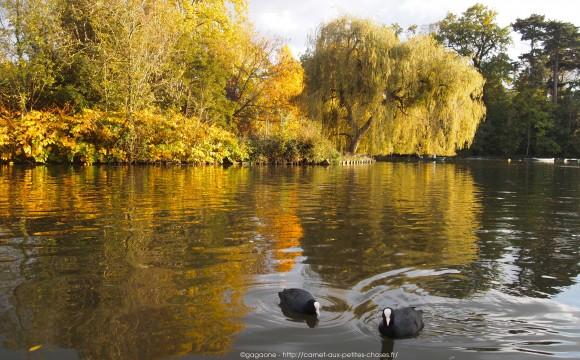 Un après-midi d’octobre au fil de l’eau – Barque au Lac des Minimes, Vincennes (94) barque-vincennes-lac-des-minimes-4_gagaone
