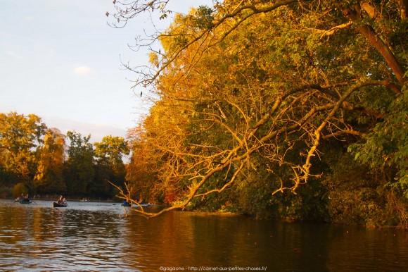 Un après-midi d’octobre au fil de l’eau – Barque au Lac des Minimes, Vincennes (94) barque-vincennes-lac-des-minimes-9_gagaone