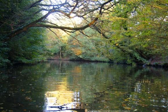 Un après-midi d’octobre au fil de l’eau – Barque au Lac des Minimes, Vincennes (94) barque-vincennes-lac-des-minimes-18_gagaone