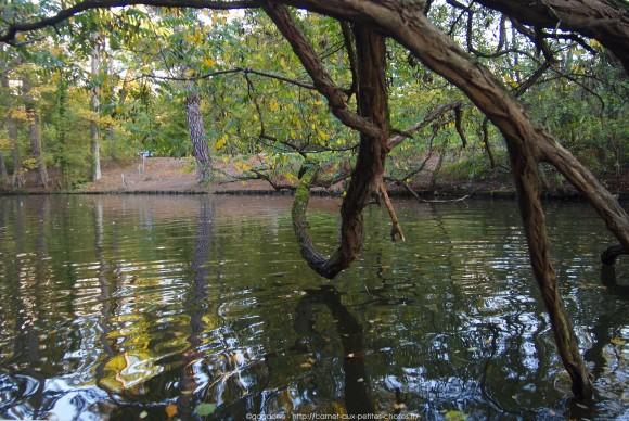 Un après-midi d’octobre au fil de l’eau – Barque au Lac des Minimes, Vincennes (94) barque-vincennes-lac-des-minimes-16_gagaone