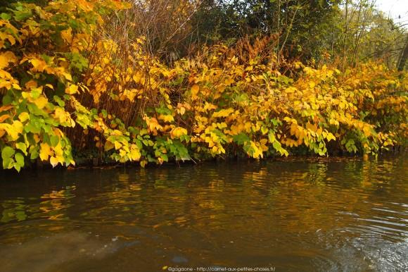 Un après-midi d’octobre au fil de l’eau – Barque au Lac des Minimes, Vincennes (94) barque-vincennes-lac-des-minimes-30_gagaone