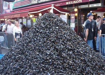 moules moules