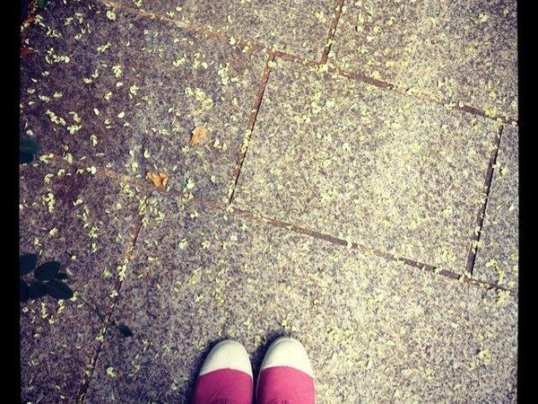 Happy feet ! (c) D'une île à Paris <script type=